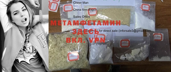 индика Нягань